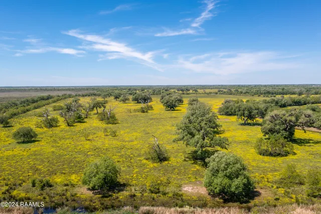 $575,355 | 0 West W Highway, Unit LOT 1, Abbeville, LA 70510