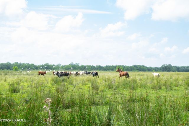 $575,355 | 0 West W Highway, Unit LOT 1, Abbeville, LA 70510