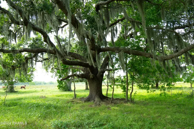 $575,355 | 0 West W Highway, Unit LOT 1, Abbeville, LA 70510