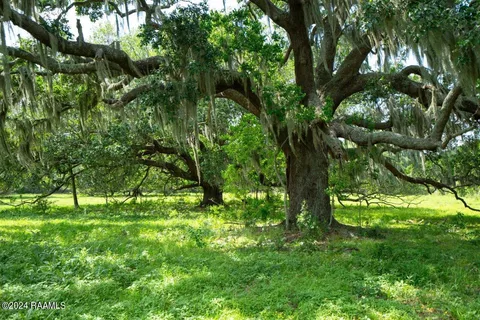 $575,355 | 0 West W Highway, Unit LOT 1, Abbeville, LA 70510