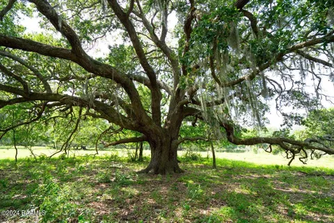 $575,355 | 0 West W Highway, Unit LOT 1, Abbeville, LA 70510