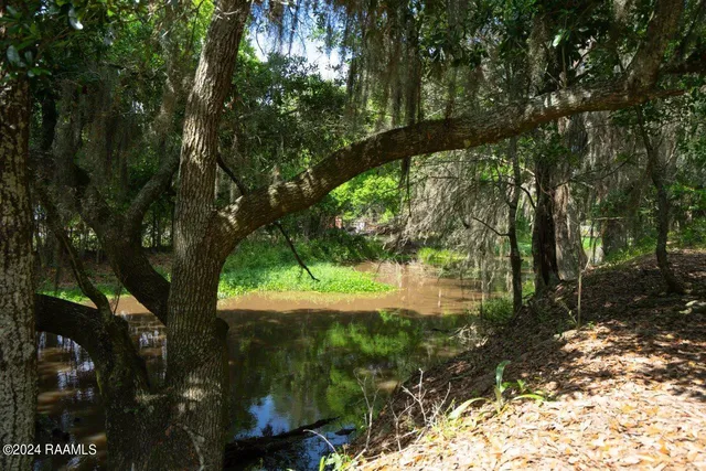 $575,355 | 0 West W Highway, Unit LOT 1, Abbeville, LA 70510