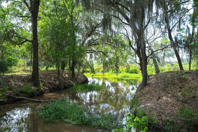 $575,355 | 0 West W Highway, Unit LOT 1, Abbeville, LA 70510