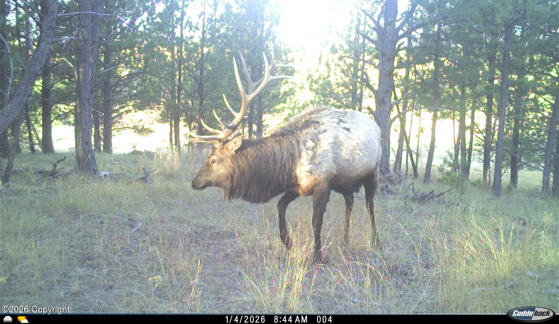 567 Dry Creek Road Upton, WY 82730 - Photo 19 of 22 Gallery Image 19