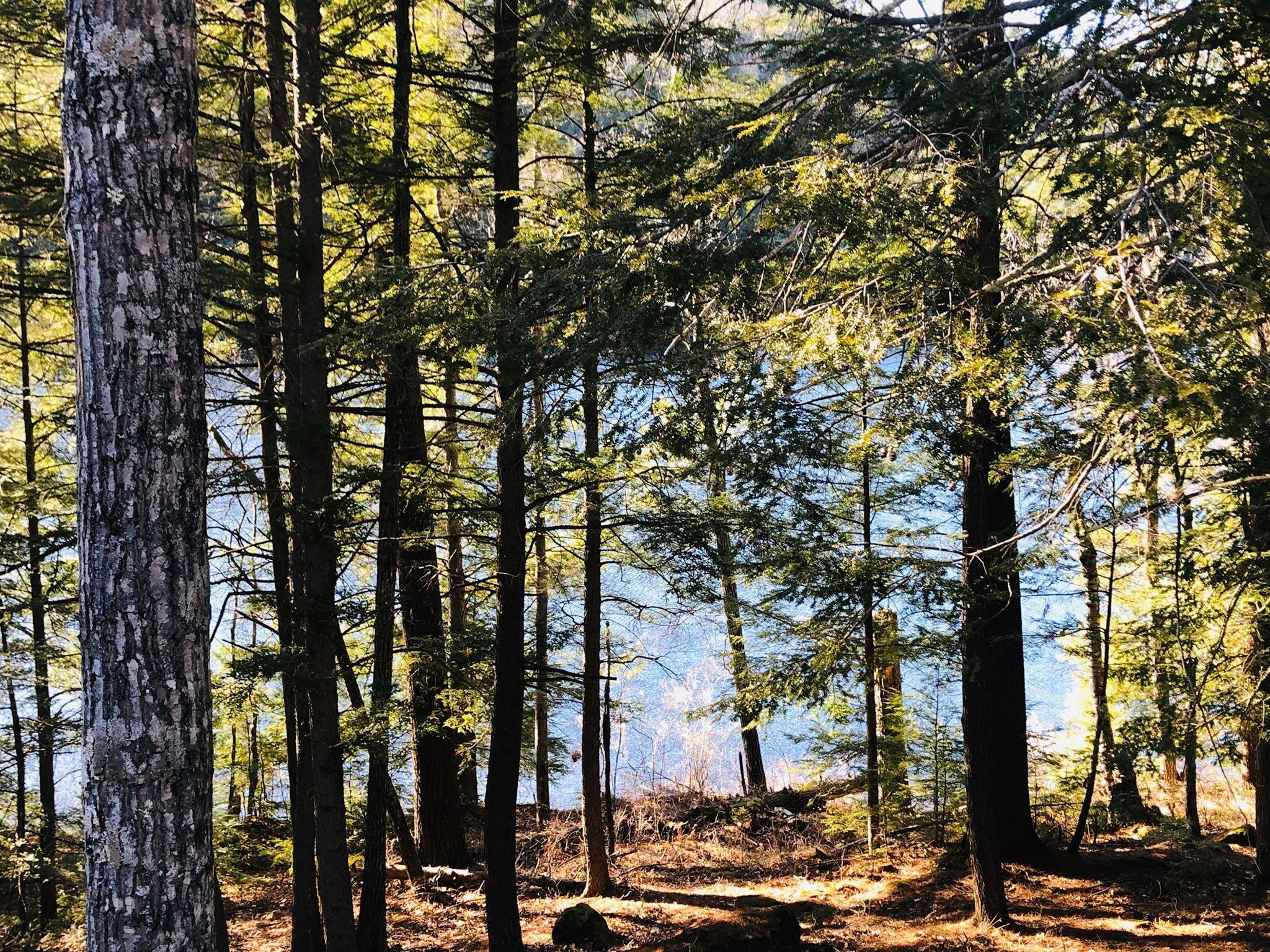 726 Sandy River Road Kents Hill, ME 04349 - Photo 47 of 69 Waterfront