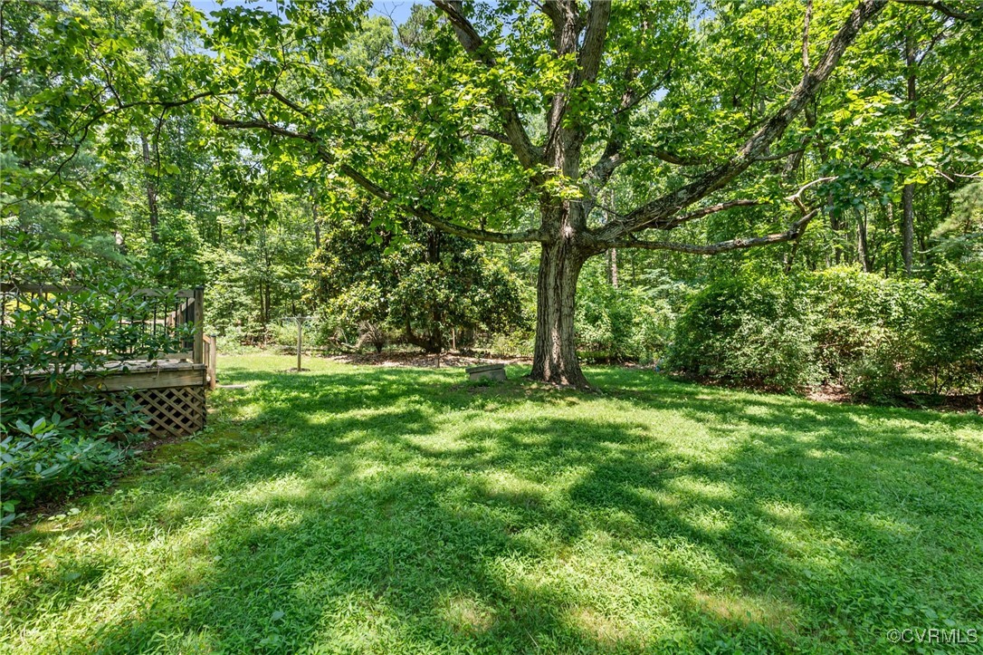 2812 Chapel Road New Canton, VA 23123 - Photo 29 of 32 a big yard with lots of green space and deers