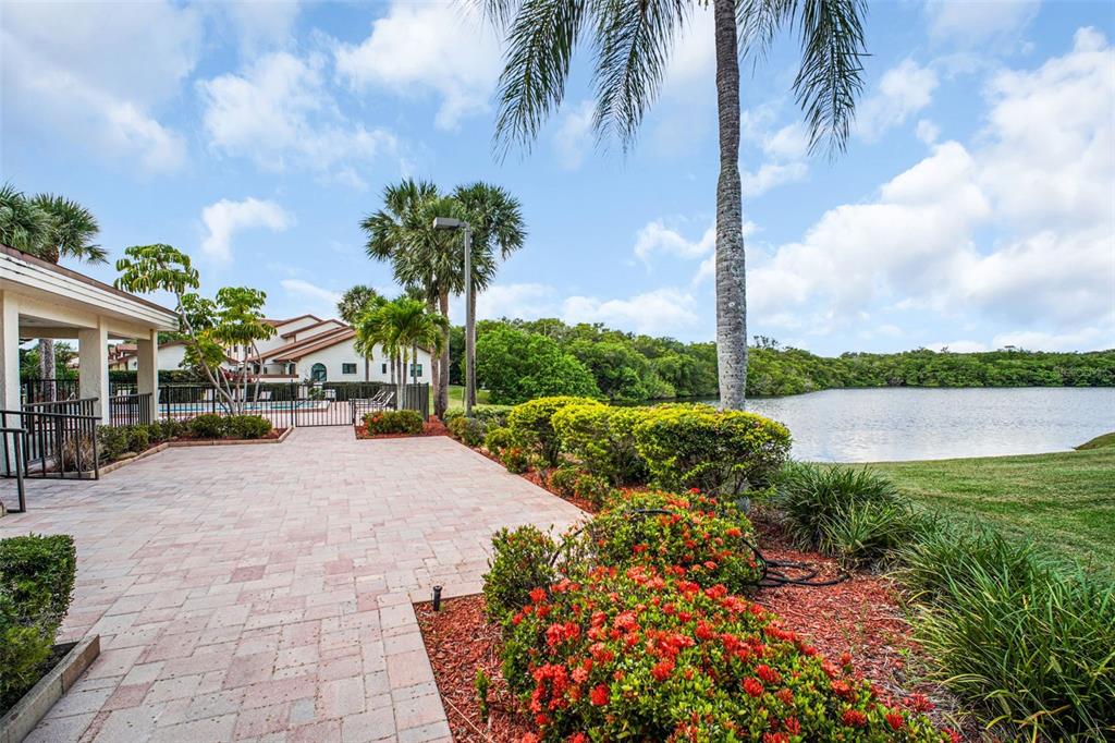 14893 Feather Cove Road Clearwater, FL 33762 - Photo 36 of 52