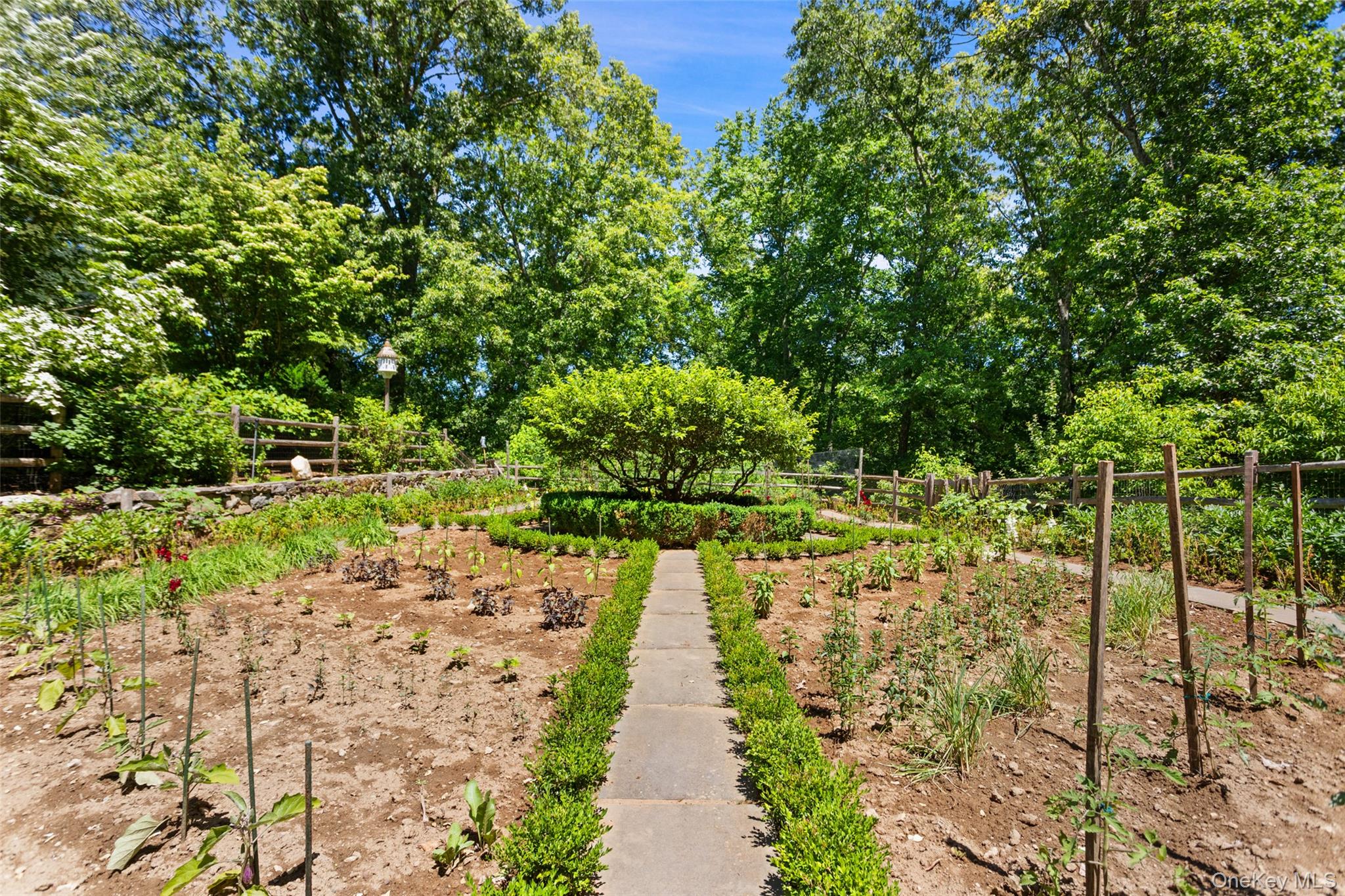 242 Croton Lake Road Katonah, NY 10536 - Photo 9 of 29