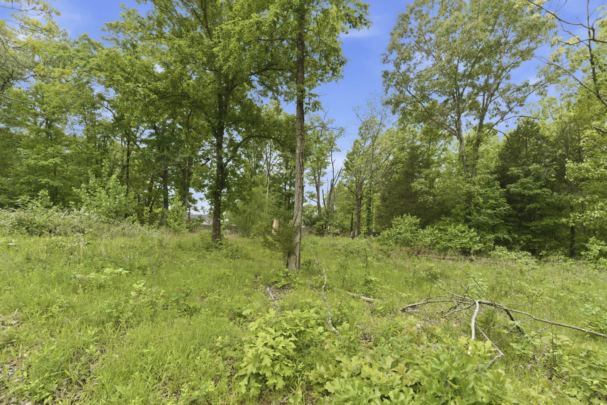 0 Tate Road Ridgedale, MO 65739 - Photo 8 of 17 7-web-or-mls-DSC05687