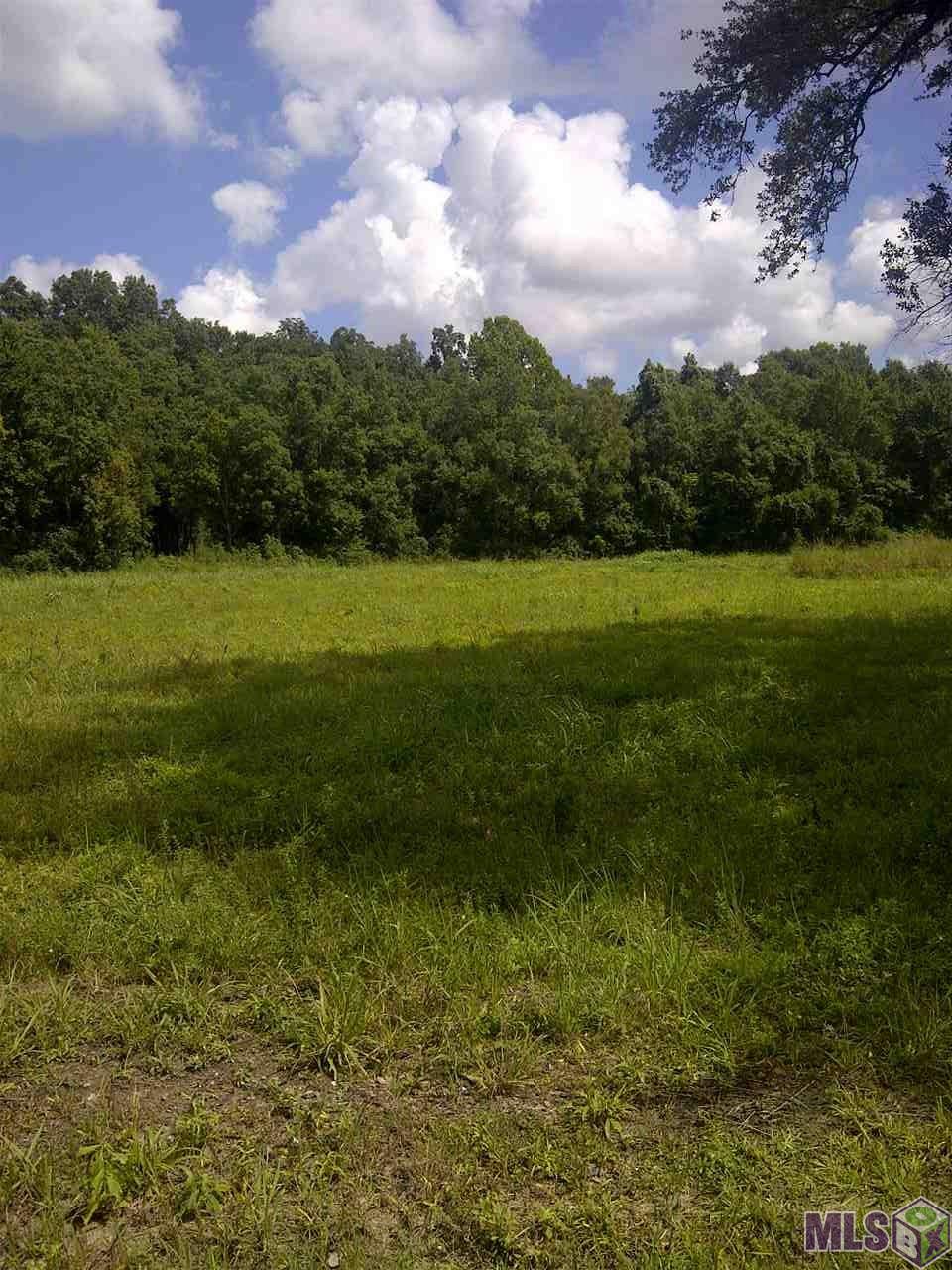 Lot 2 West Worthy Road Gonzales, LA 70737 - Photo 1 of 2 Gallery Image 1