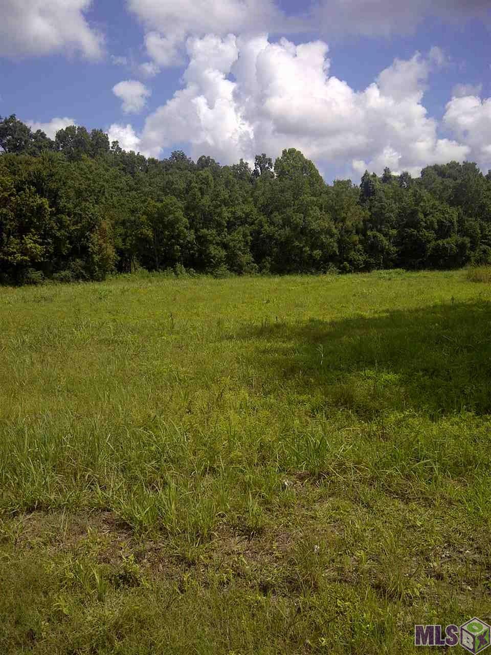 Lot 2 West Worthy Road Gonzales, LA 70737 - Photo 2 of 2 Gallery Image 2