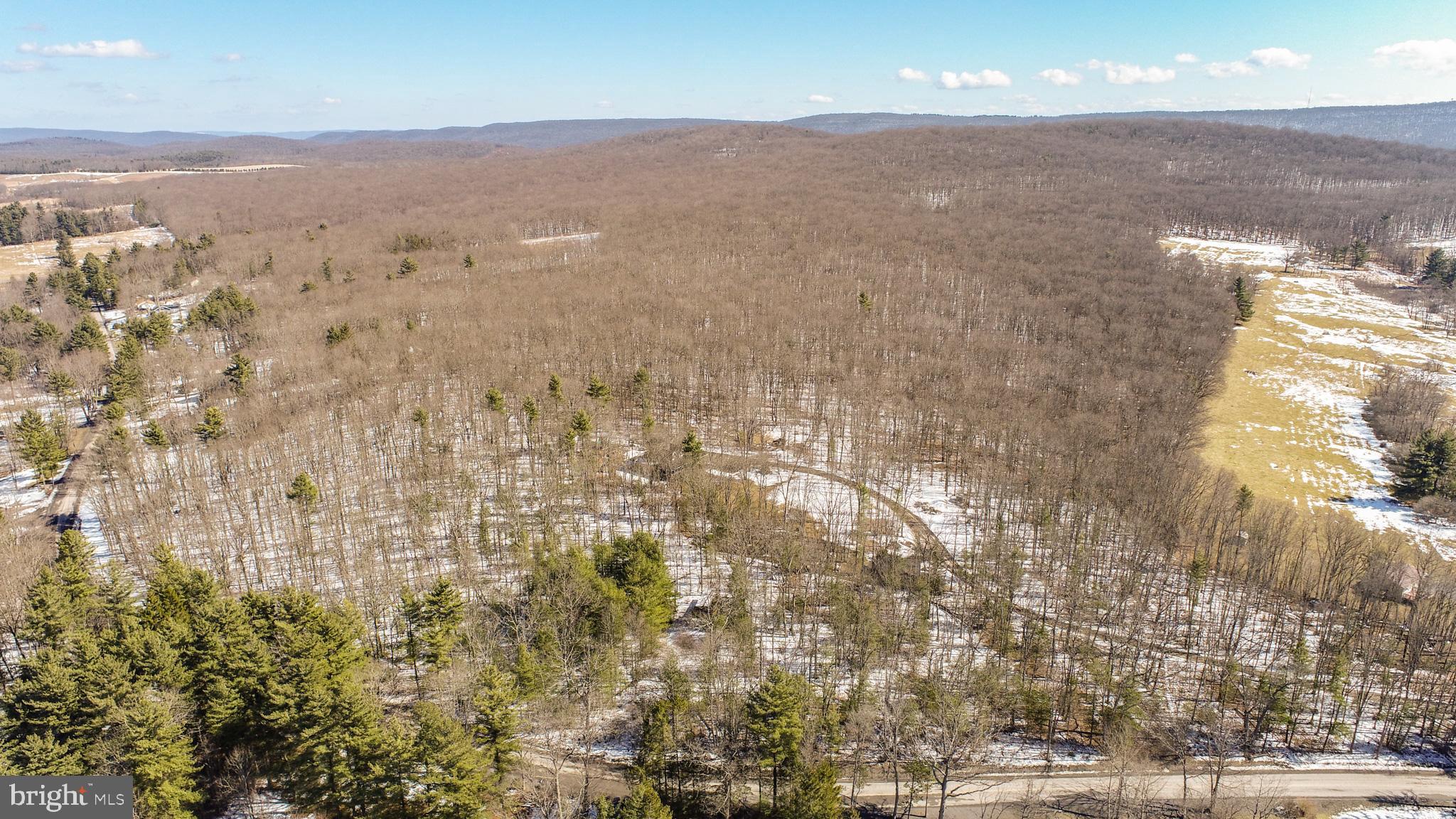North Glade Road Swanton, MD 21561 - Photo 11 of 19