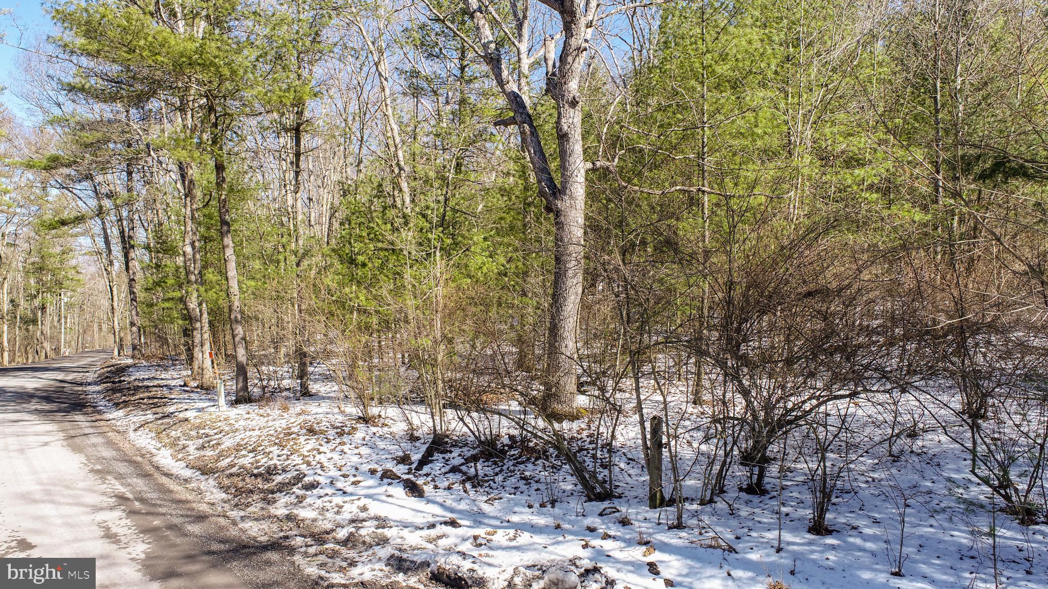 North Glade Road Swanton, MD 21561 - Photo 6 of 19