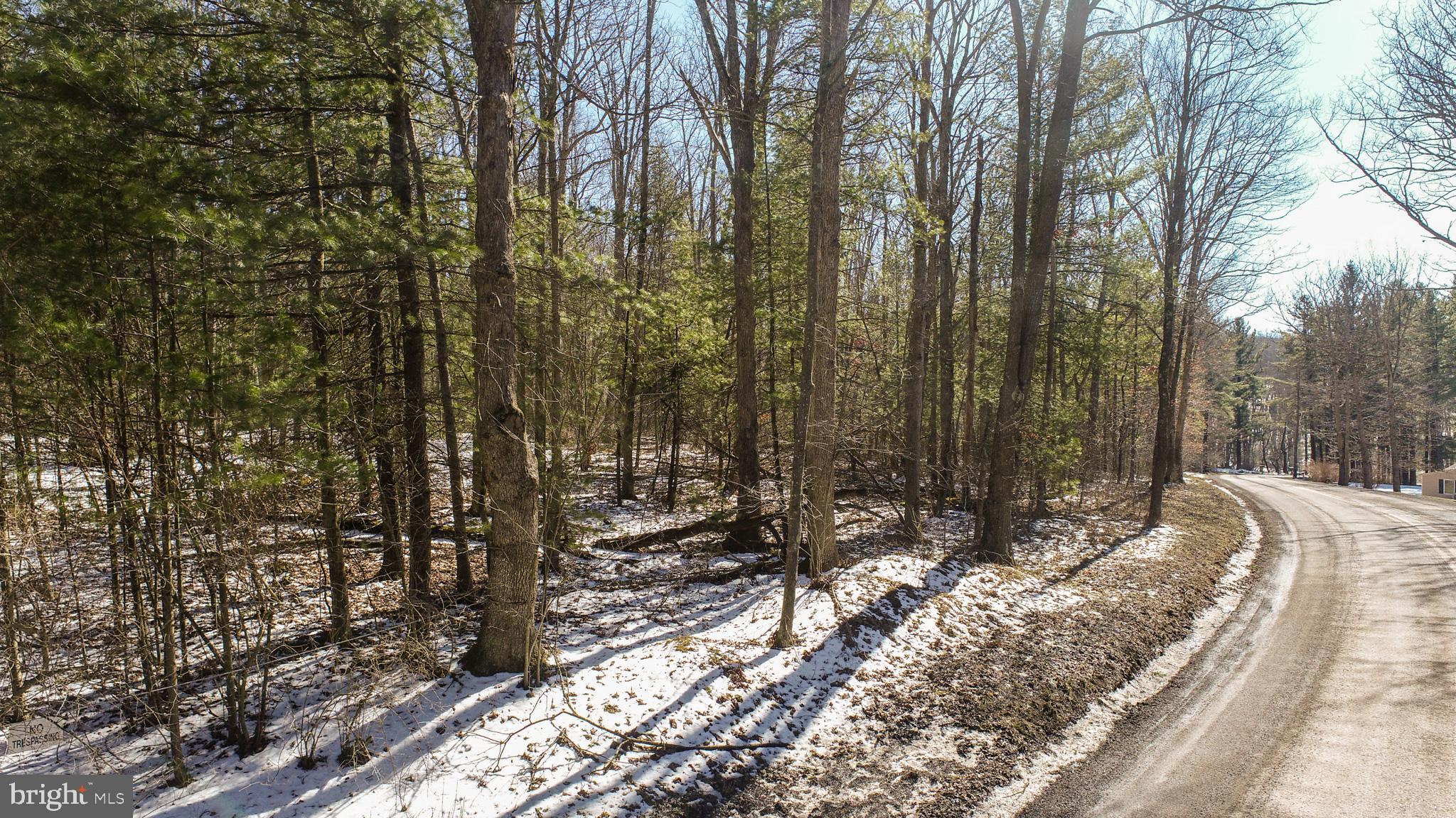 North Glade Road Swanton, MD 21561 - Photo 7 of 19