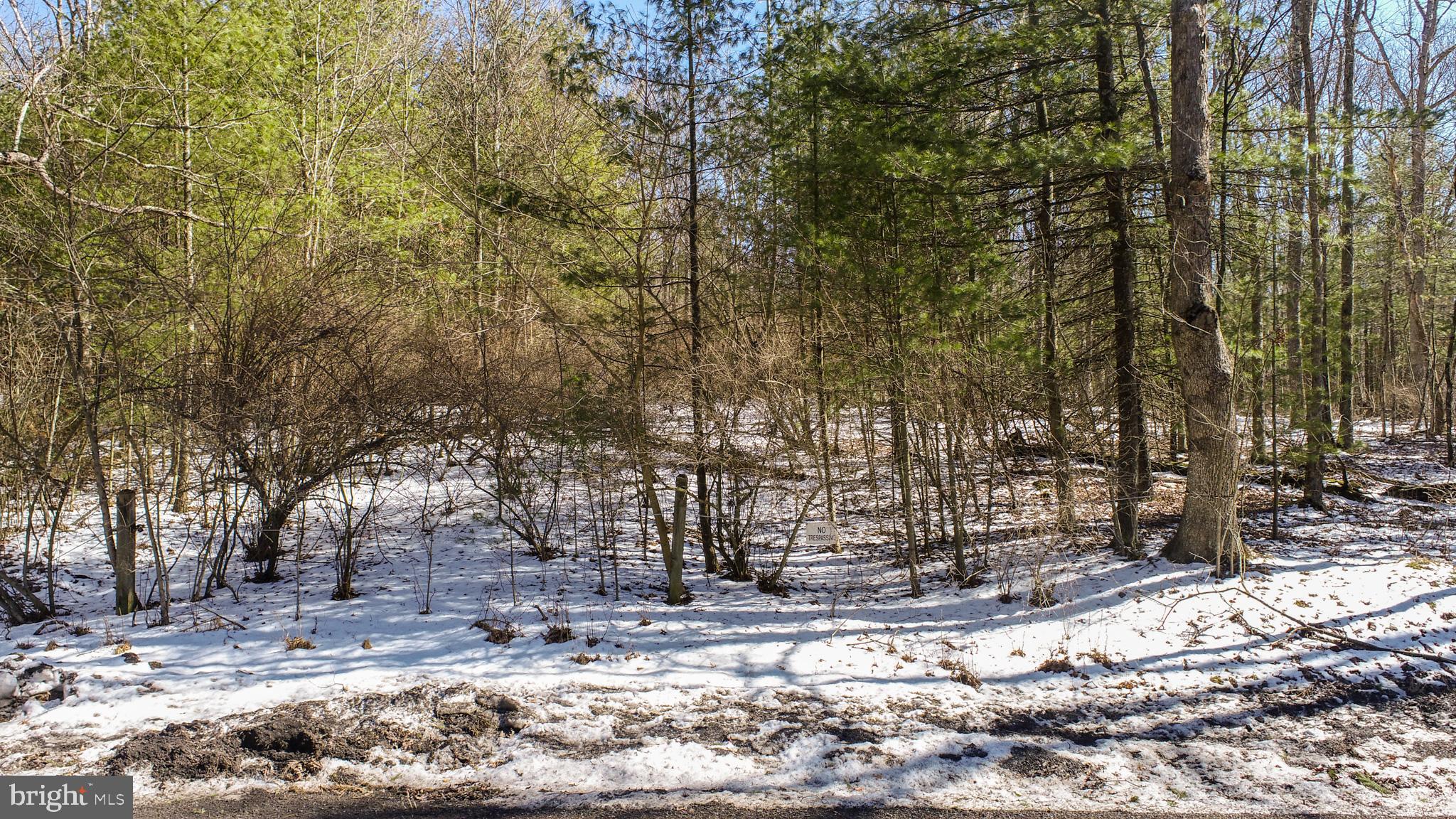 North Glade Road Swanton, MD 21561 - Photo 8 of 19