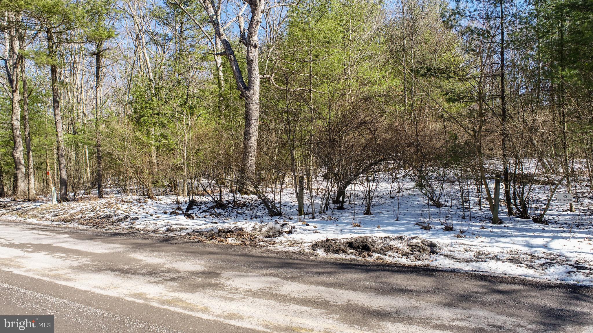 North Glade Road Swanton, MD 21561 - Photo 9 of 19