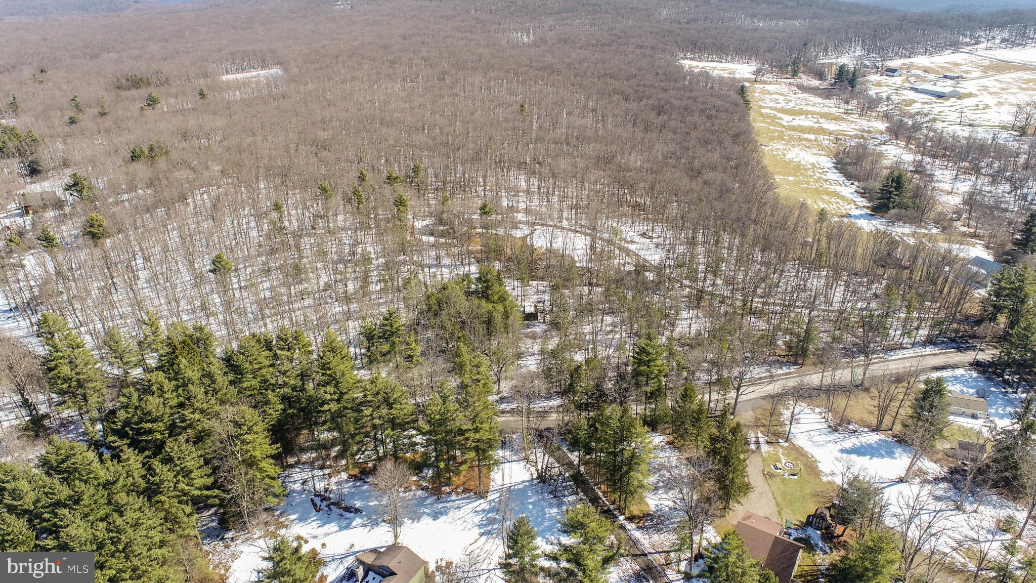 North Glade Road Swanton, MD 21561 - Photo 10 of 19