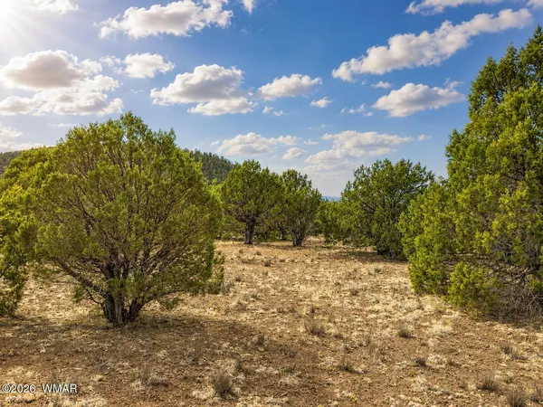 $50,000 | 15 County Road 3180, Vernon, AZ 85940