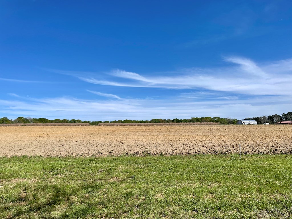 644 Bruner Road Dothan, AL 36301 - Photo 30 of 34 View of adjacent land sold for $10,000 an acre