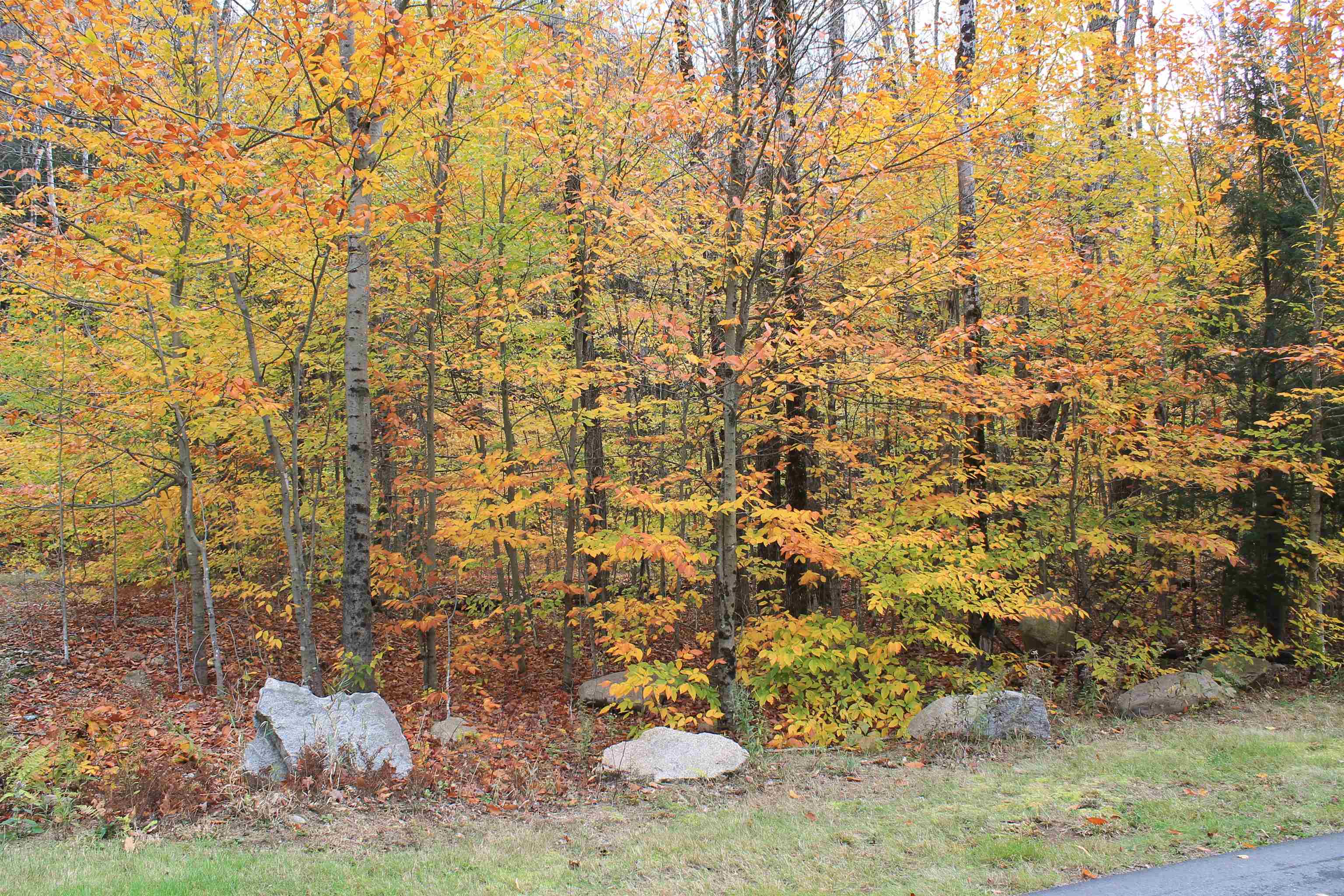 73 South Peak Road, Unit PR 25 Lincoln, NH 03251 - Photo 11 of 16 Gallery Image 11