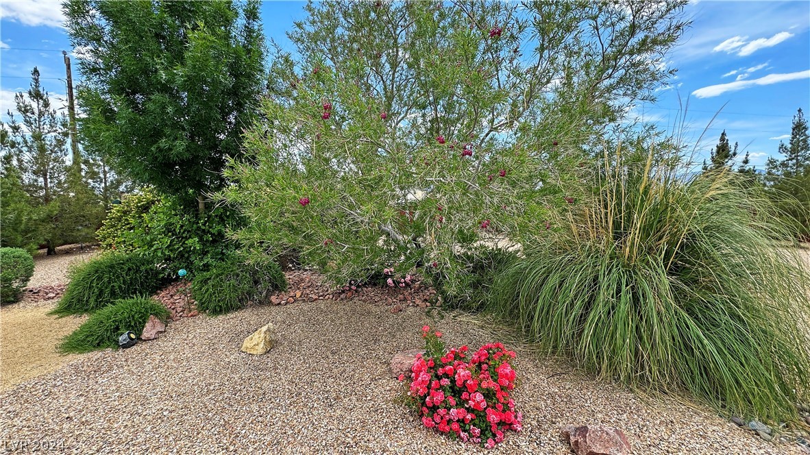 461 Intrepid Street Pahrump, NV 89048 - Photo 79 of 90 Gallery Image 79