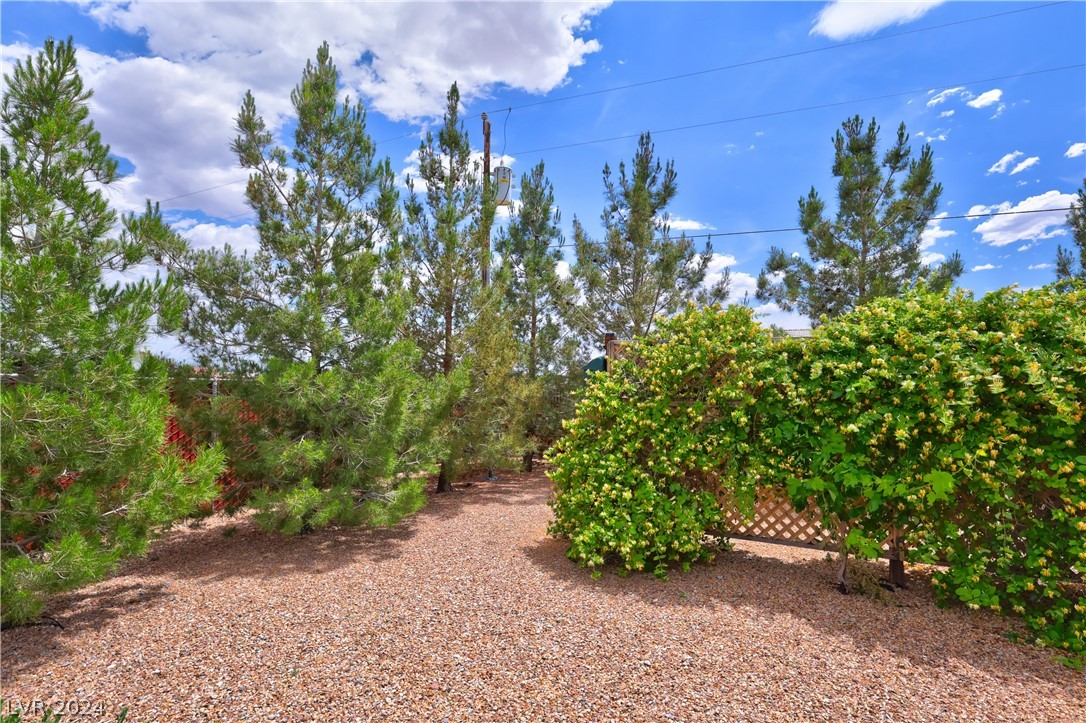 461 Intrepid Street Pahrump, NV 89048 - Photo 83 of 90 Gallery Image 83