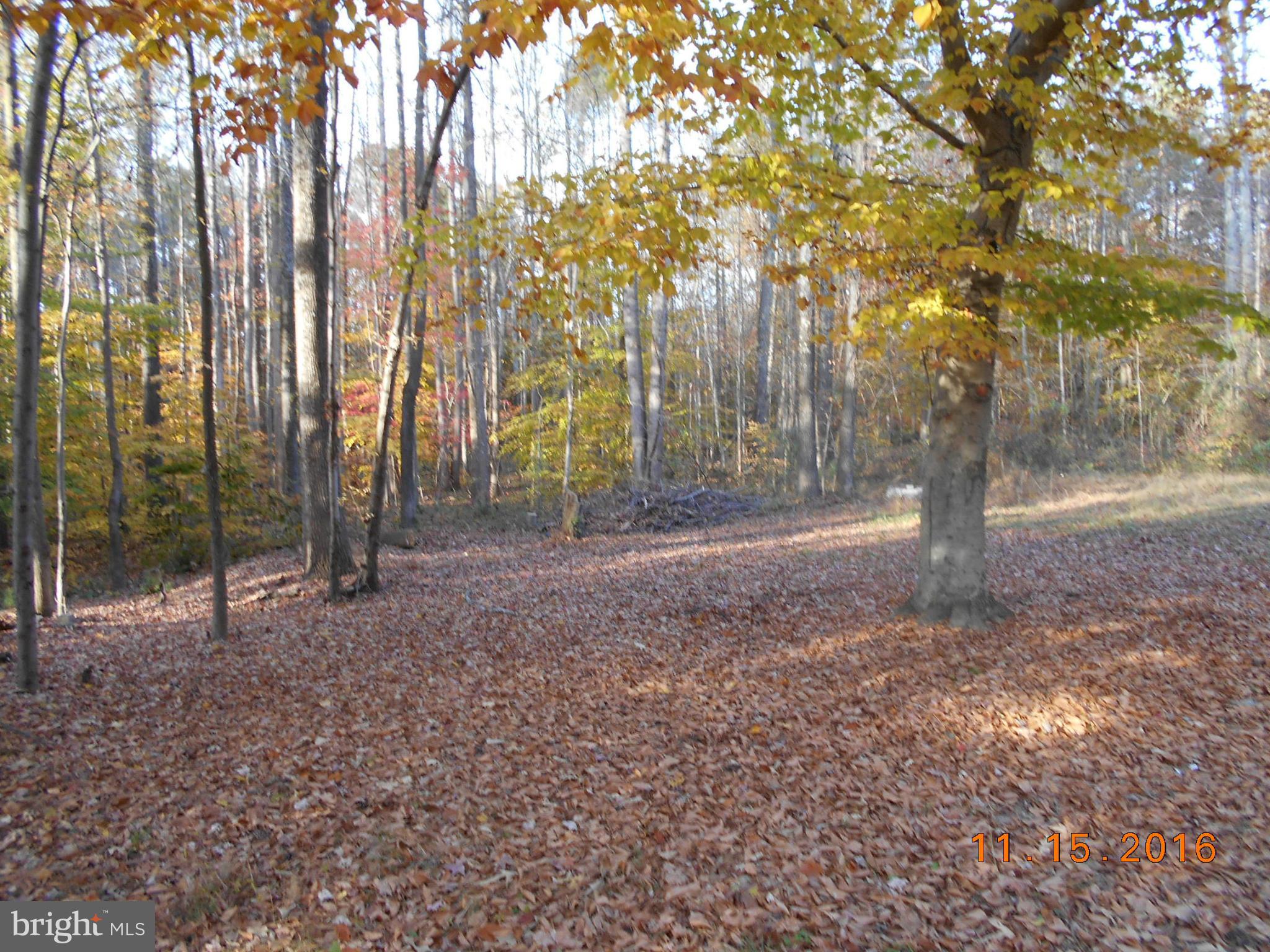 4748 Turkey Acres Road King George, VA 22485 - Photo 7 of 9 View