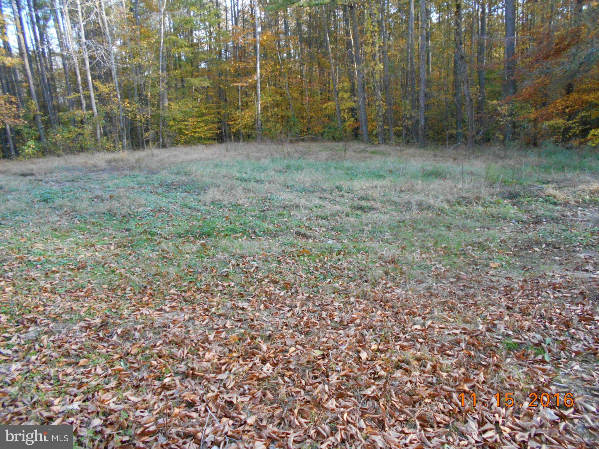 4748 Turkey Acres Road King George, VA 22485 - Photo 8 of 9 View