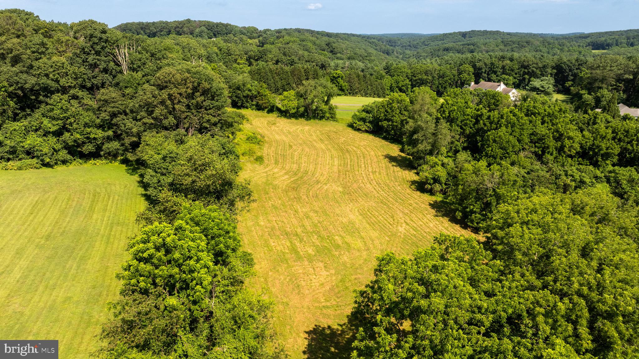 Eagle Mill Road Freeland, MD 21053 - Photo 33 of 36 a view of a forest with a lake