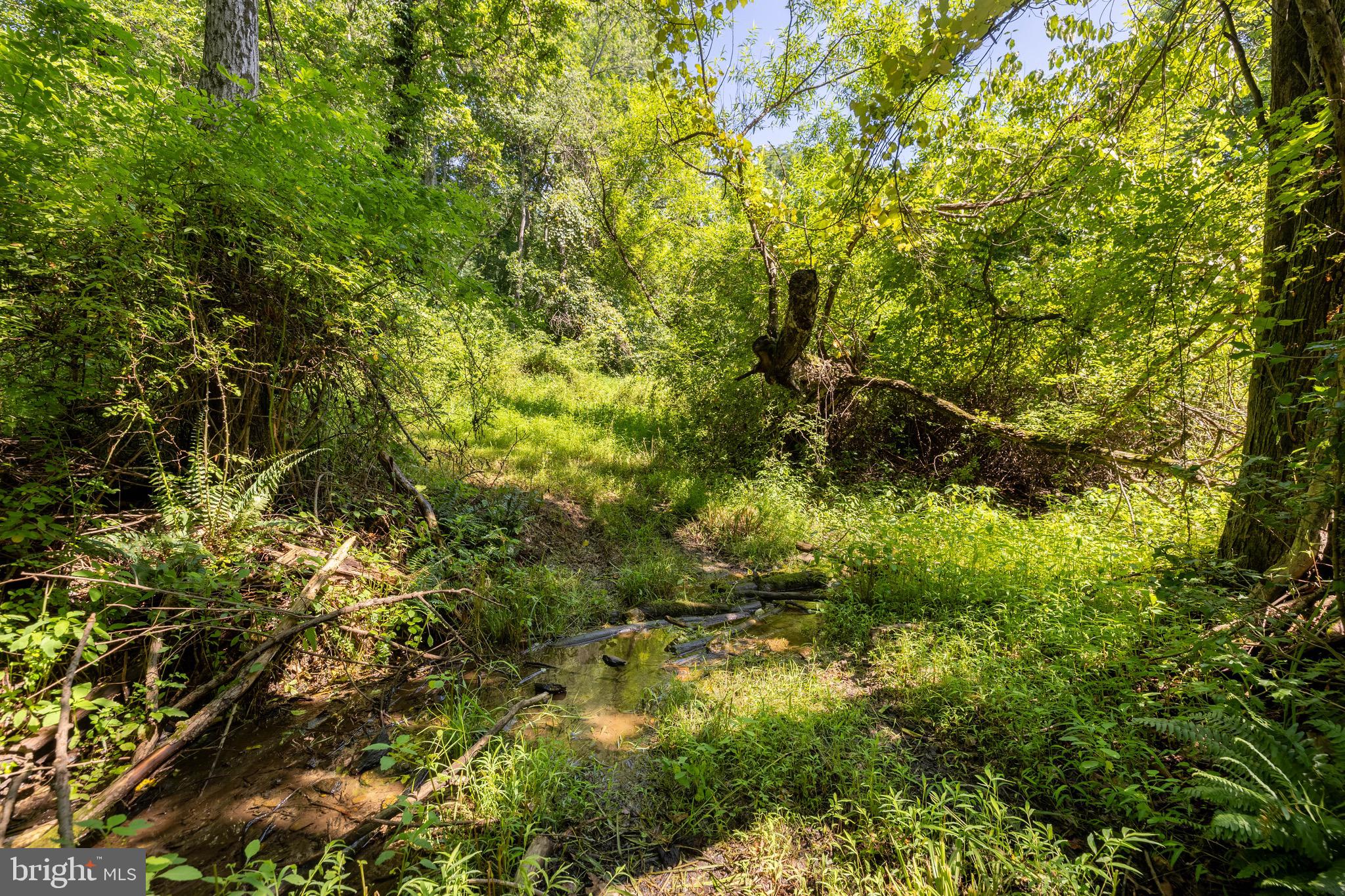 Eagle Mill Road Freeland, MD 21053 - Photo 8 of 36 a view of a tree