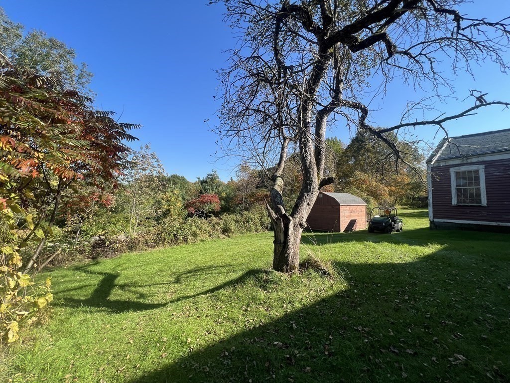 205 Lincoln Road Phillipston, MA 01331 - Photo 12 of 17 a view of a garden with a tree