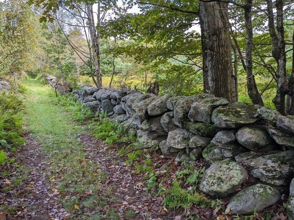205 Lincoln Road Phillipston, MA 01331 - Photo 3 of 17 a view of a forest with trees