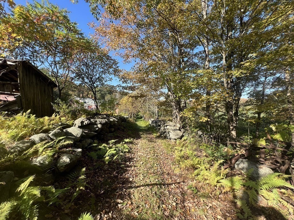 205 Lincoln Road Phillipston, MA 01331 - Photo 5 of 17 a view of a tree