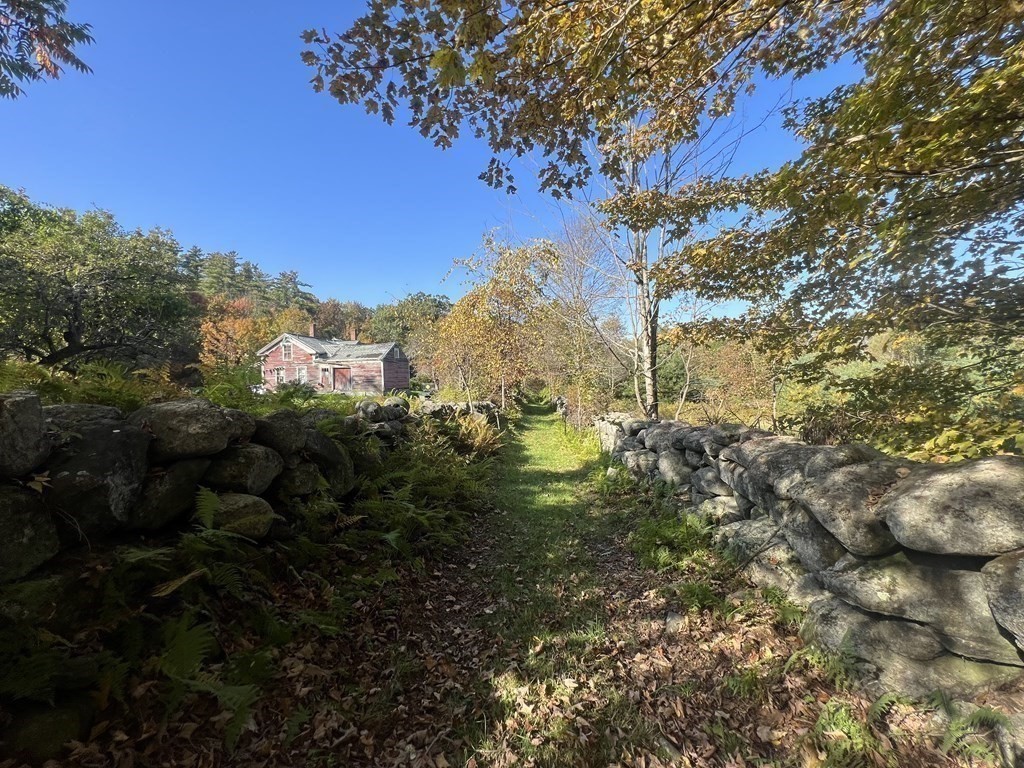 205 Lincoln Road Phillipston, MA 01331 - Photo 6 of 17 a view of a tree in a yard