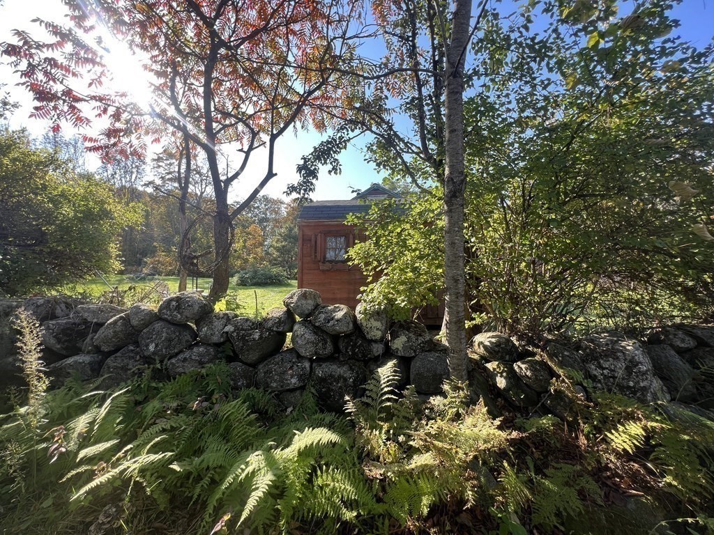 205 Lincoln Road Phillipston, MA 01331 - Photo 7 of 17 a view of a tree in a yard