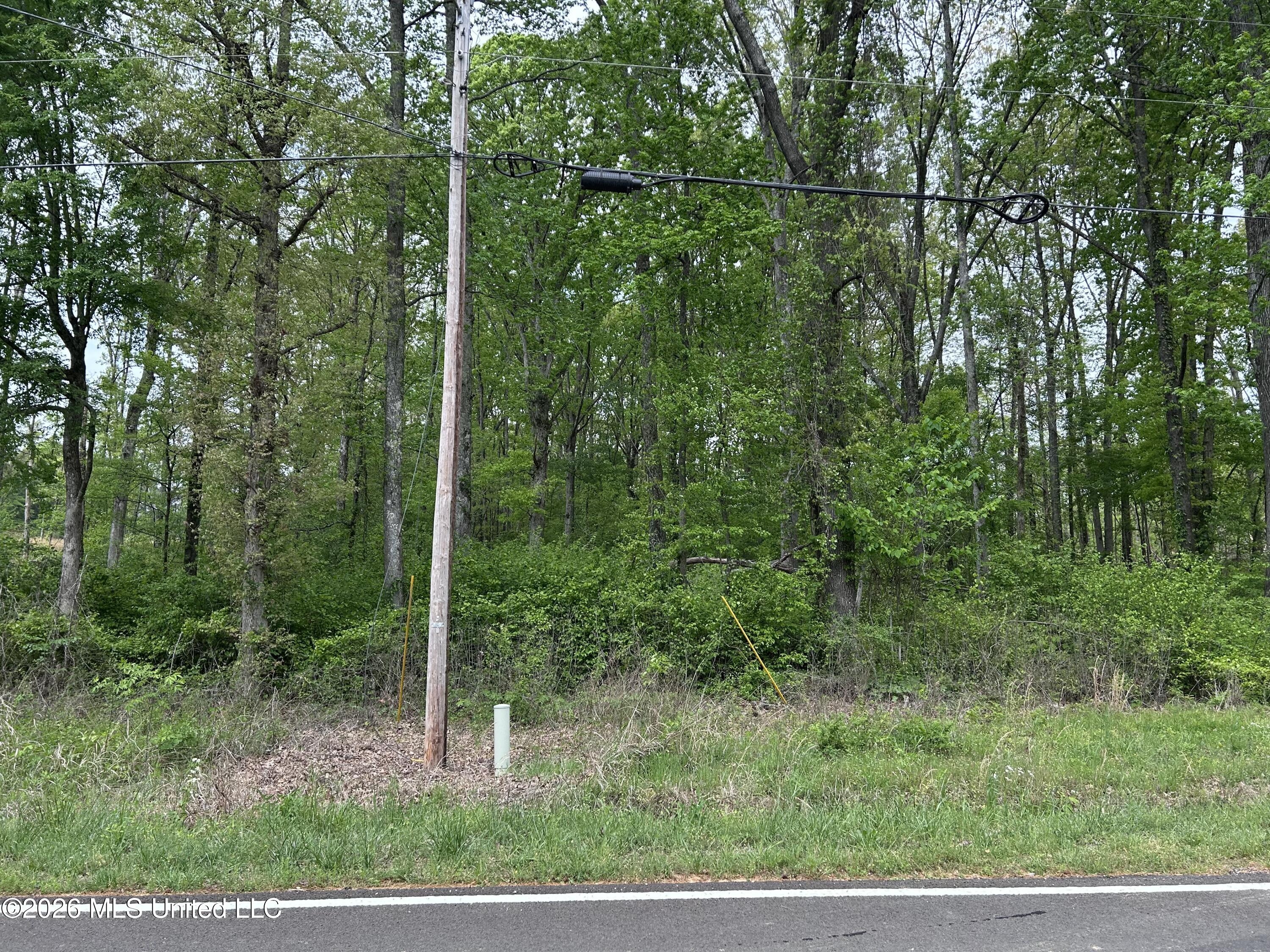 6163 County Line Road Olive Branch, MS 38654 - Photo 1 of 2 IMG_9889