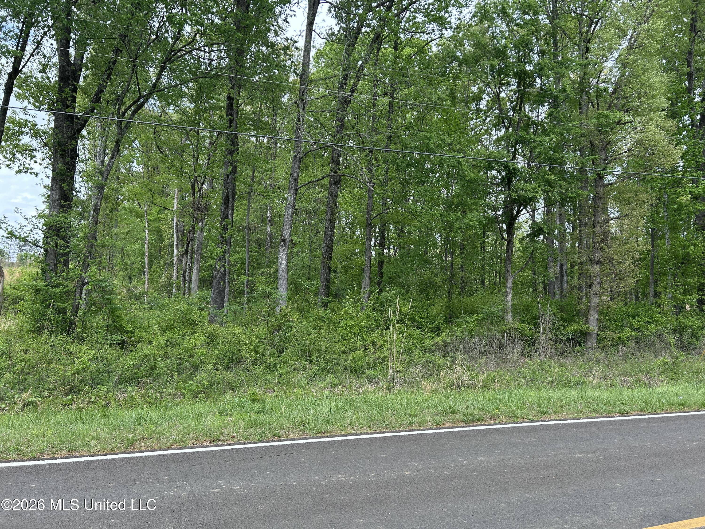 6163 County Line Road Olive Branch, MS 38654 - Photo 2 of 2 IMG_9888