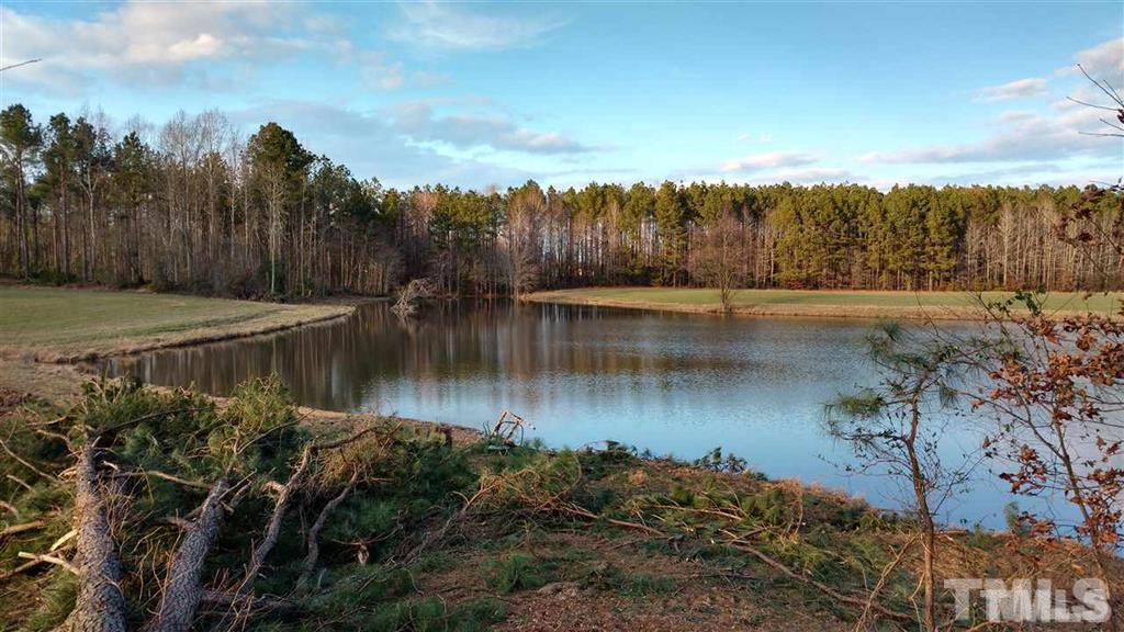 Burgess Road Middlesex, NC 27557 - Photo 3 of 20