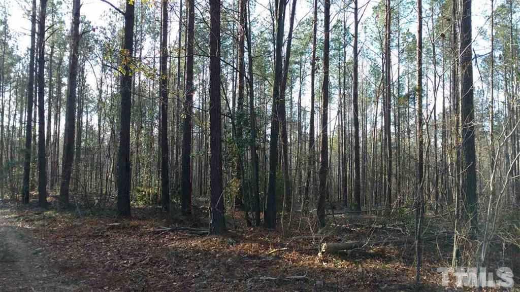 Burgess Road Middlesex, NC 27557 - Photo 5 of 20