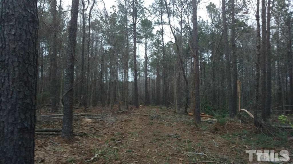 Burgess Road Middlesex, NC 27557 - Photo 6 of 20