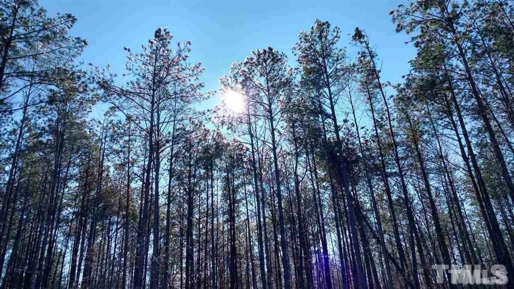 Burgess Road Middlesex, NC 27557 - Photo 7 of 20