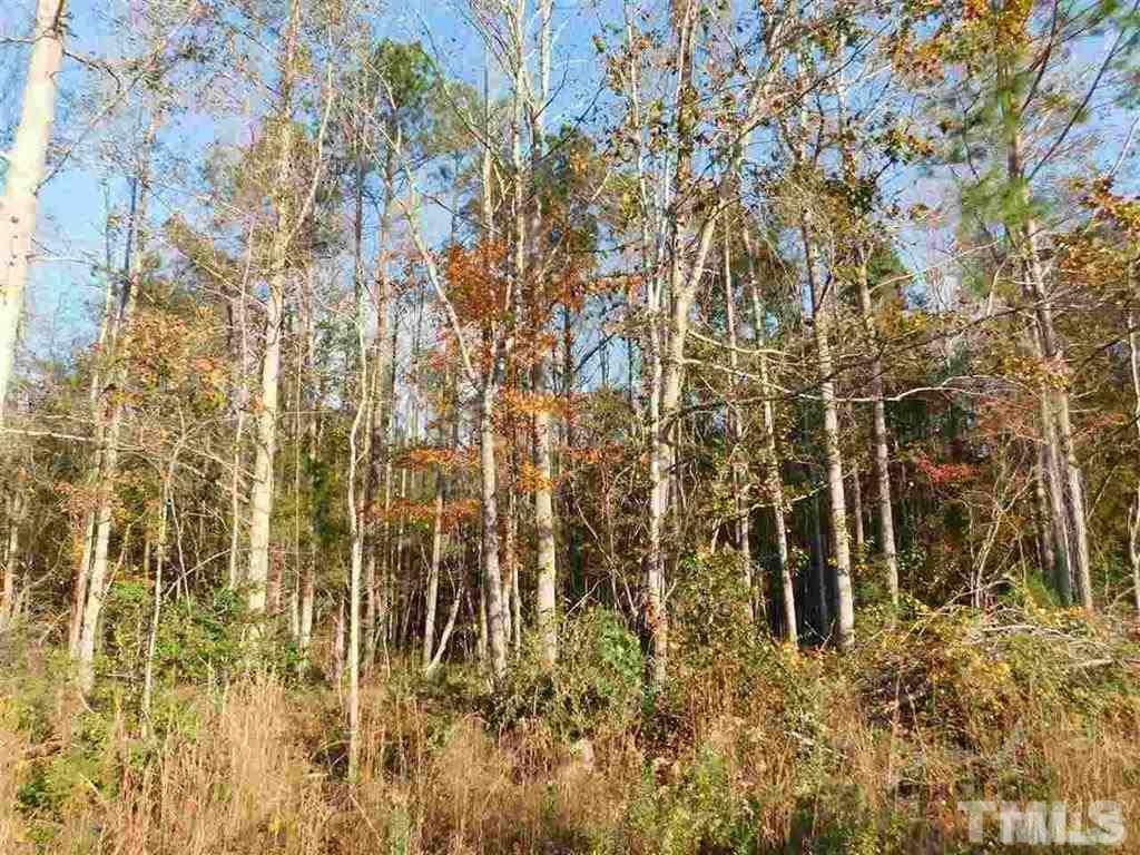 Burgess Road Middlesex, NC 27557 - Photo 10 of 20