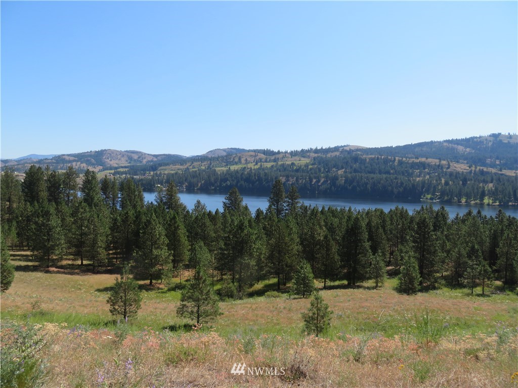 2 Sourdough Flats Road Republic, WA 99166 - Photo 1 of 15 Gallery Image 1