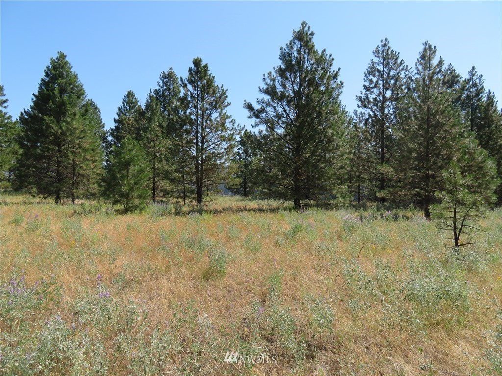 2 Sourdough Flats Road Republic, WA 99166 - Photo 2 of 15 Gallery Image 2