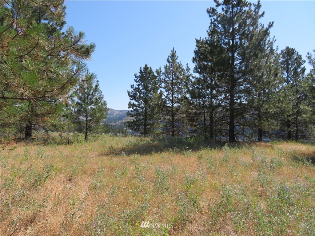 2 Sourdough Flats Road Republic, WA 99166 - Photo 12 of 15 Gallery Image 12
