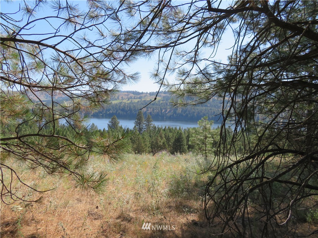 2 Sourdough Flats Road Republic, WA 99166 - Photo 13 of 15 Gallery Image 13