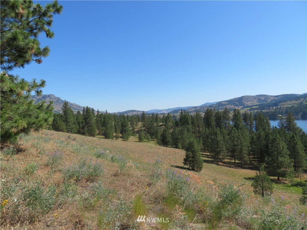2 Sourdough Flats Road Republic, WA 99166 - Photo 14 of 15 Gallery Image 14