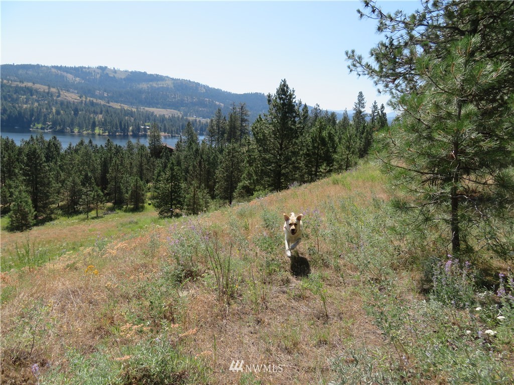 2 Sourdough Flats Road Republic, WA 99166 - Photo 15 of 15 Gallery Image 15