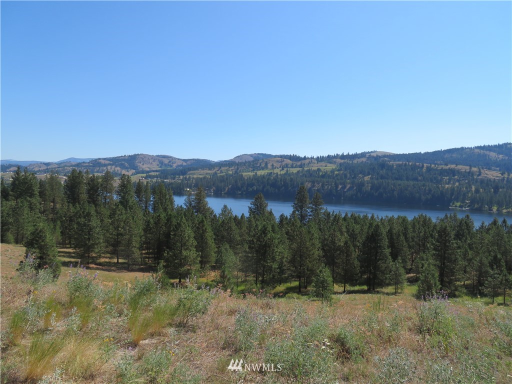 2 Sourdough Flats Road Republic, WA 99166 - Photo 3 of 15 Gallery Image 3