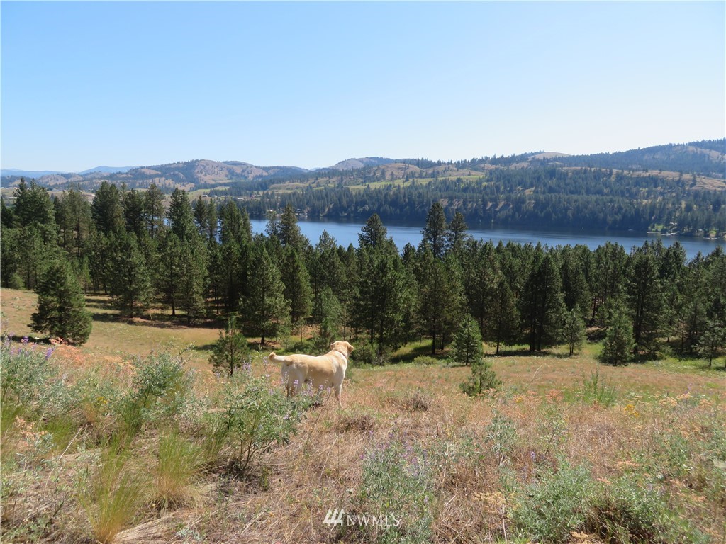 2 Sourdough Flats Road Republic, WA 99166 - Photo 4 of 15 Gallery Image 4